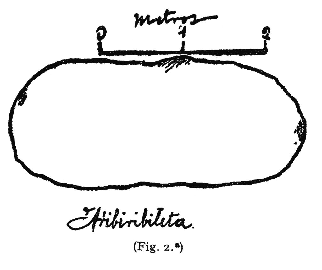 Arribiribilleta krokisa. Aranzadi et al. 1922.